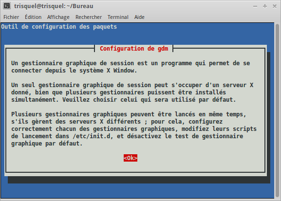 1_Trisquel_7_Gnome_installation_de_Gnome_Shell_choix_du_gestionnaire_graphique_1.png 