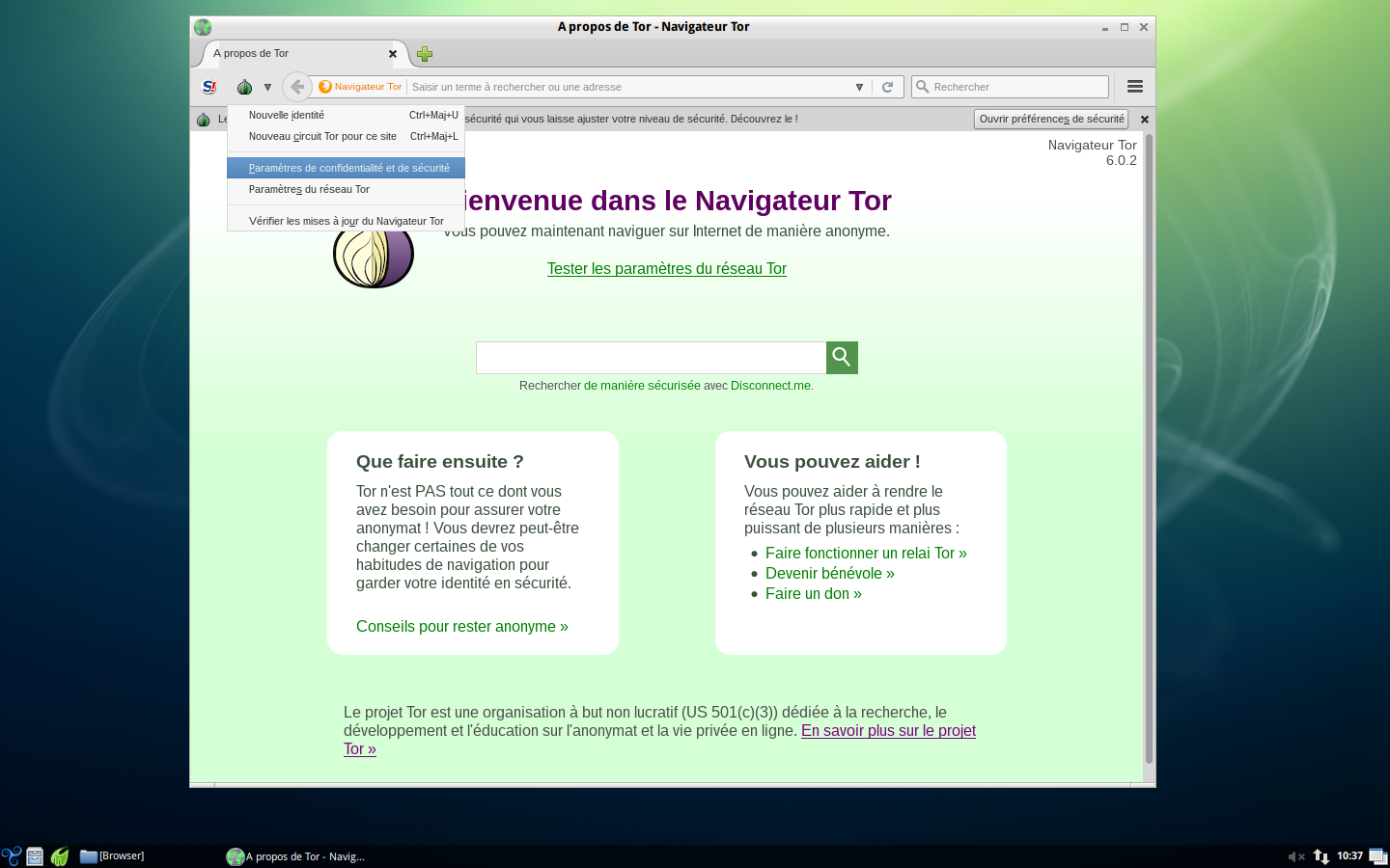 Tor_Browser-Bridges_8.png 