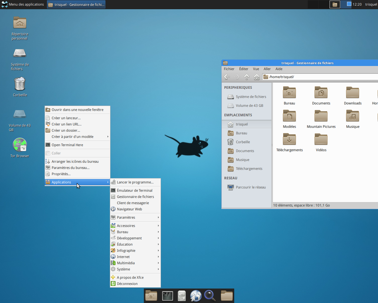 Trisquel_7_mini_Xfce_réinitialisé_par-défaut_2.png 