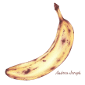 Ritratto di Magic Banana