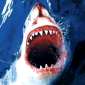 Imagen de Shark-Attack