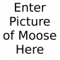 BenTheMoose