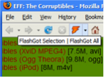 FlashGot Mass Downloader