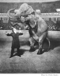 Houdini-Elephant.jpg