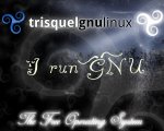 Trisquel_I_run_GNU_GNUlancer.jpg