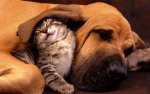awww.jpg awww.jpg