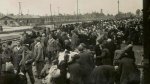 birkenau_1280x720.jpg