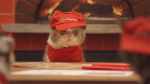 cat-pizza-hut-hed-2014.png