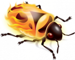 Firebug