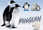 Pinguin