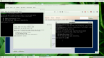 terminal Captura de pantalla_2017-06-22_07-55-08.png