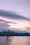 wanaka-otago.jpg