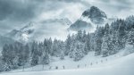 winter-landscape.jpg